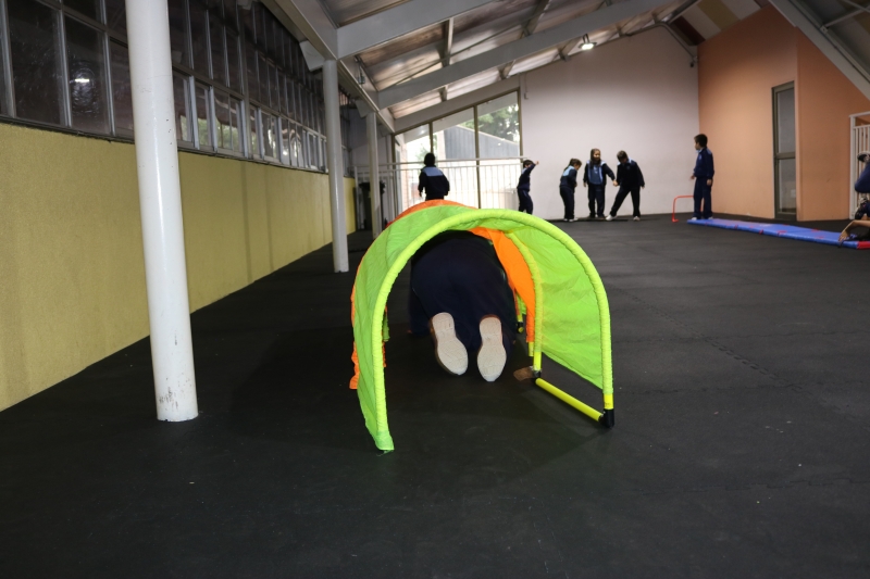 Día de la Actividad Física